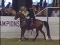 2008 US National English Pleasure Jr. Horse Vegaz