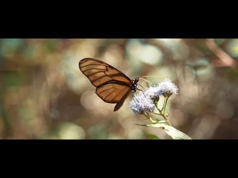 Más allá de respirar