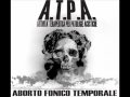 A.T.P.A. 2.wmv