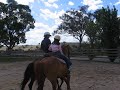 Tasz Trotting Tasz Trotting