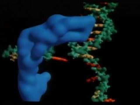 Carl Sagan's Cosmos 2