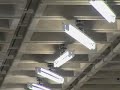 Homographies, Rafael Lozano