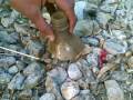 videos de BLA BALOCH BOLAN AMAN MENGAL