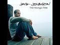 Jack Johnson - Crying Shame (Culver City Dub Remix) Jack Johnson - Crying Shame (Culver City Dub Remix)