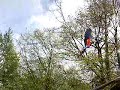 voici des peroquet inteligent au zoo d'amn�ville