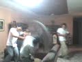 guerra de almohadas en la ksa de gaby