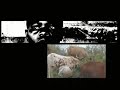 www.3tamis.org Enfants accus�s de sorcellerie - of witch