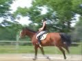 Milla is training Tara (mare) / Milla entrena Tara (yegua)