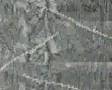 Hackmesser-Invalid