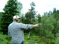 shooting colt45 from ww2