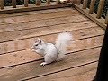 man-with-the-plank.html