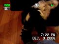 doggie tricks.mpg doggie tricks.mpg