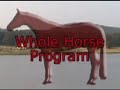 5W Ranch Underwater Tredmill