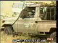 man almost killed by big cat