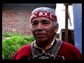 Ecologia y vida ancestral