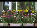 愛知県豊田市鞍が池公園