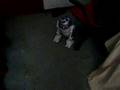 R2D2 IN ACTION