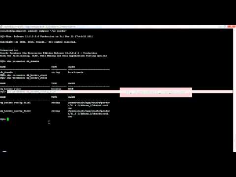 how to patch data guard