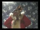 tribute to nini rosso #13 silent night-capricio romantico ????????????
??????????????
????????????