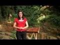Dusty Strings D10 Hammered dulcimer Advert dizzi