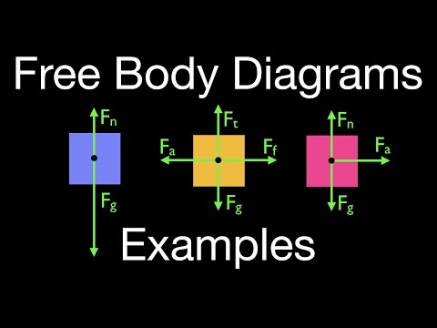 how to draw free body diagrams