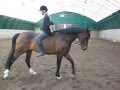 Me riding my horse bareback first time
