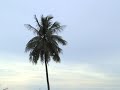 Bang Saen Beach House (3)