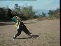 Wushu Zui Jian