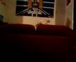 Graham Cocker's Puppet Show