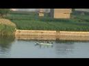 The Nile (3)