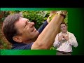 alan titchmarsh shows how to prune your wisteria to ensure flowering.