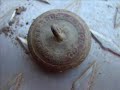 Metal Detecting A Park In Historic Camden Arkansas