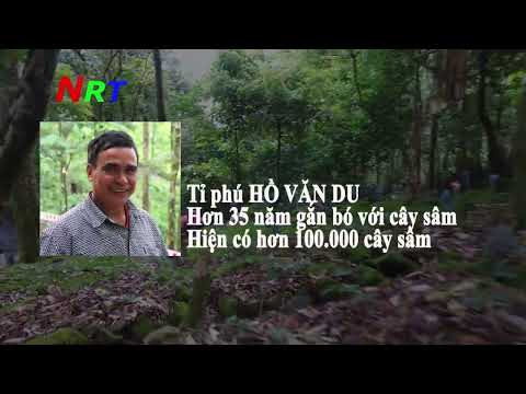 Video 1 Phim tư liệu sâm Ngọc Linh