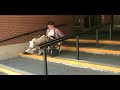 Ankle dislocate