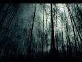 Mad World, video y letra
