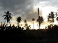 Berbice by Minibus, 3