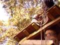 videos de Gareth doing the zip wire..