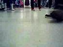 BAILO ELECTRO EN C&A :$