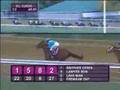 Breeders Cup Classic 2006 - Invasor