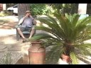 Just  A Vlog  of  Our Knowledge on Our Cultural !?!