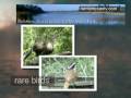 Bentsen - Rio Grande Valley State Park