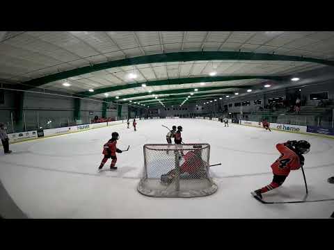 Tigers vs Dallas Penguins