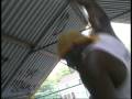 videos de Thug Workout.wmv