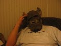 Demon Interview