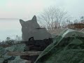 Tribute to the Breakwater Cats