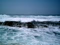Mendocino Coast:  Beauty and the Coast