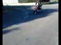 videos de spitro bb86