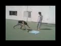 Pillet 2.3gp