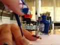 Alice in Wonderland Inspired Nail Tutorial