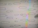R Dub! - 8th Grade Book Report Video R Dub! - 8th Grade Book Report Video